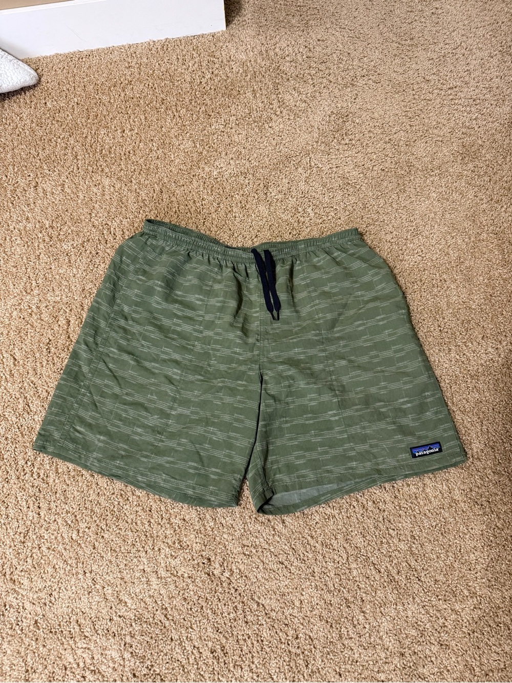 Patagonia Shorts